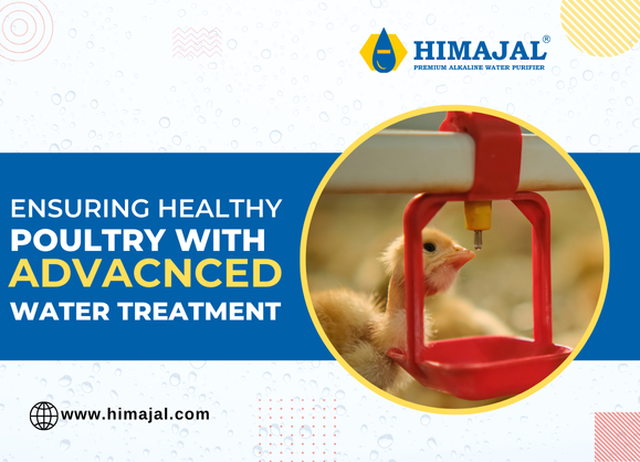 Himajal Water Softeners – Protecting Poultry Health Through Advanced Water Treatment for Poultry Farms in Telangana